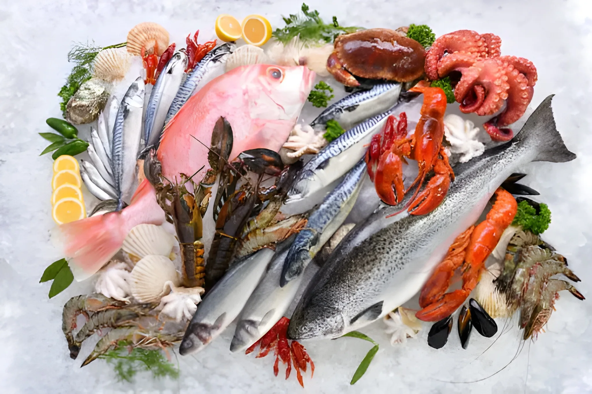 frozen fish and seafood trading company