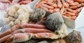 Frozen fish exporter