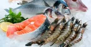 Frozen fish exporter