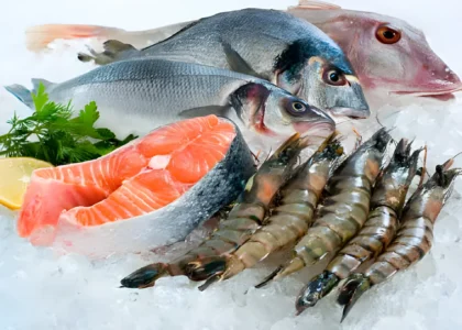 Frozen fish exporter