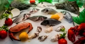 Frozen fish wholesaler