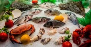 Frozen Fish And Seafood