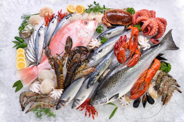 Frozen Fish And Seafood Trading Company