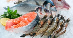 Frozen Fish And Seafood Trading Company