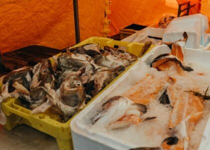 International Seafood Import Export Company