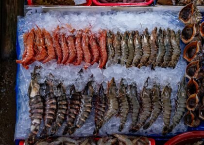 International Seafood Import Export Company