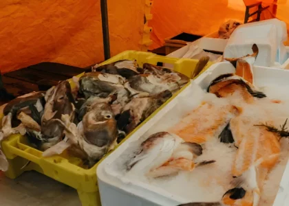 frozen seafood import export company