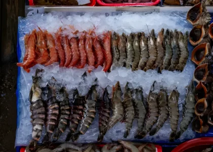 seafood exporters and importers