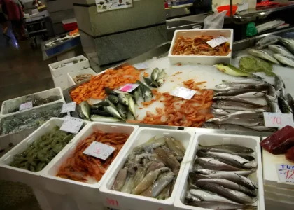 international fish trading company