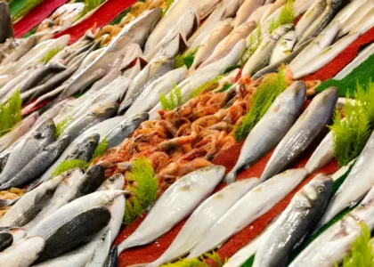 seafood distribution company