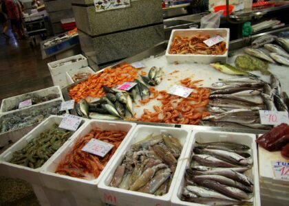 International Seafood Import Export Company