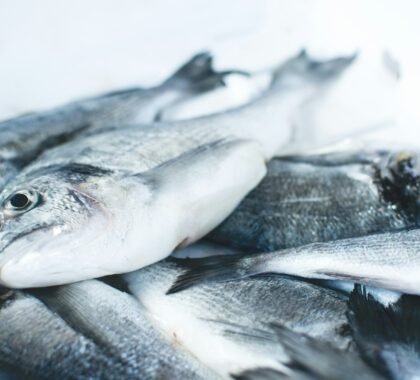 International frozen food supplier