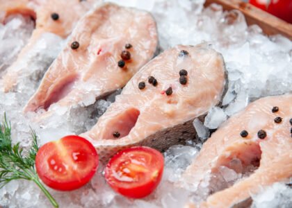 Frozen animal protein supplier