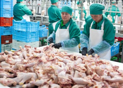 Wholesale poultry procurement partner