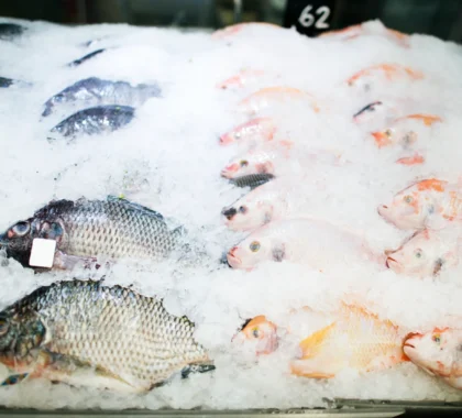 frozen food wholesaler